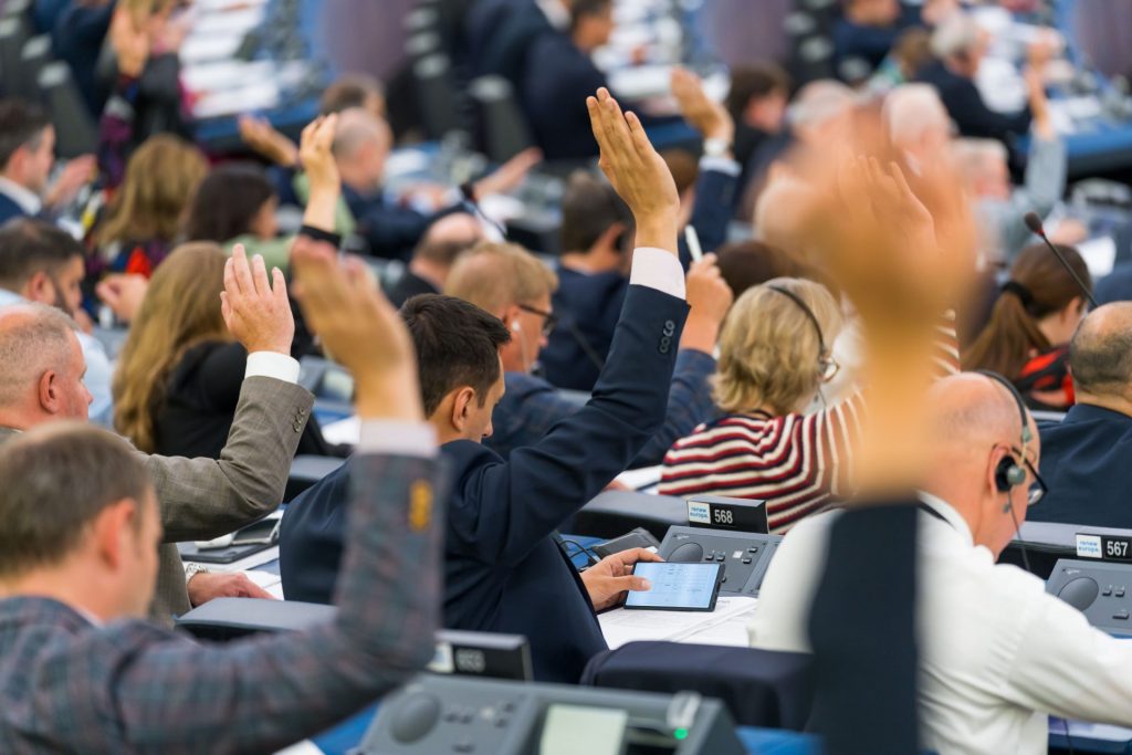 Wie haben die österreichischen Abgeordneten im Plenum abgestimmt?