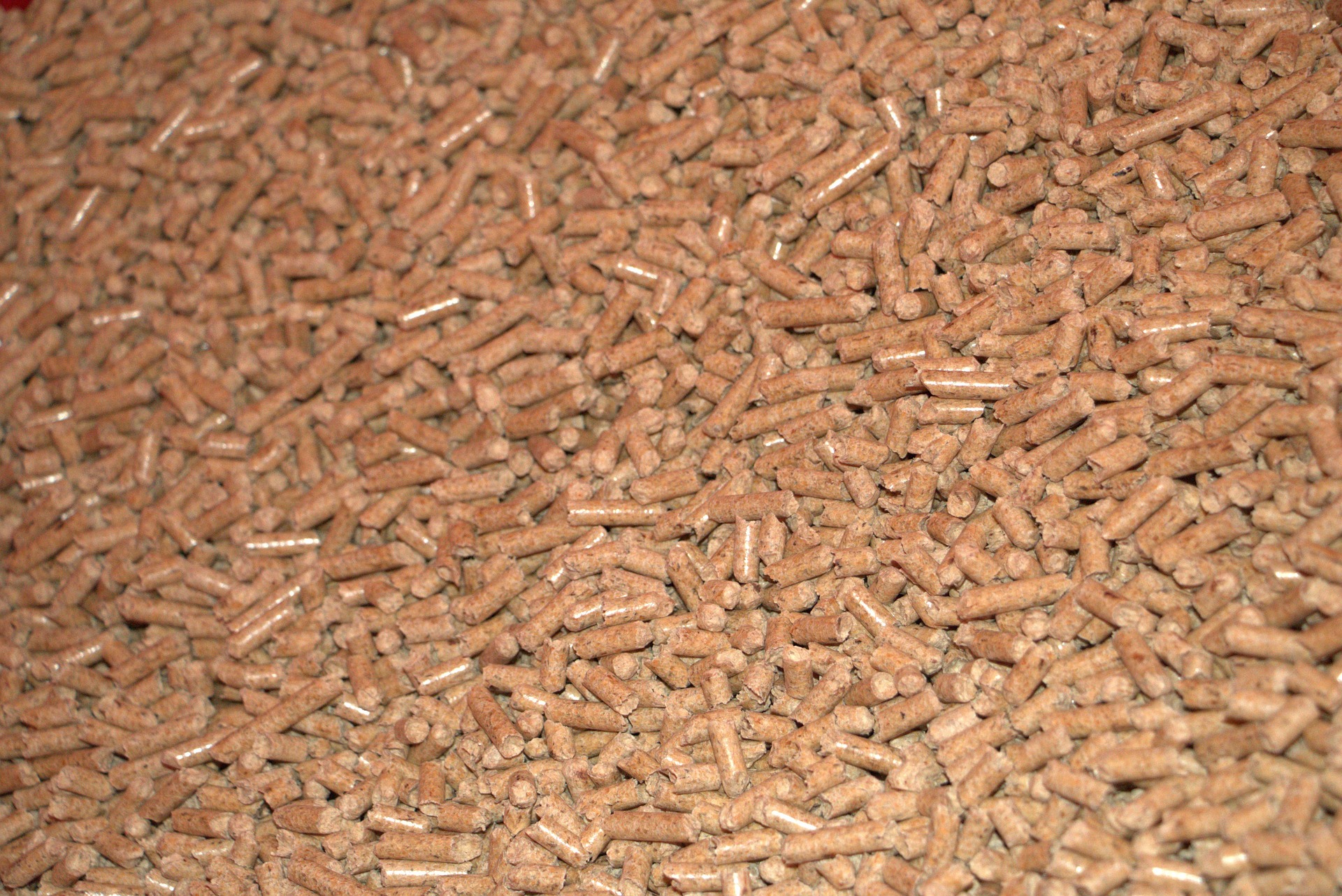 Biomasse: Pellets aus Holz